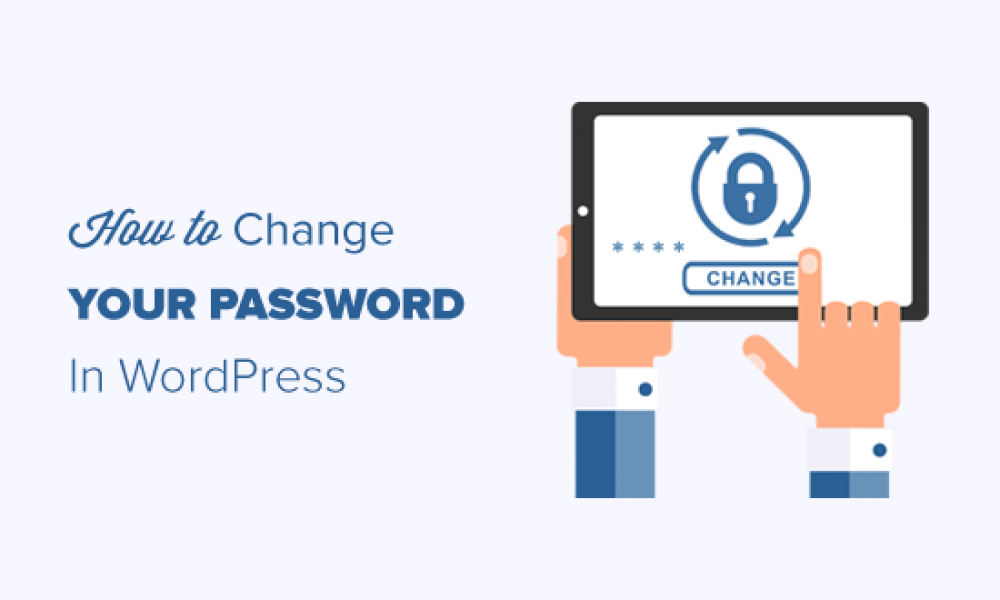 Wordpress password. Wordpress password