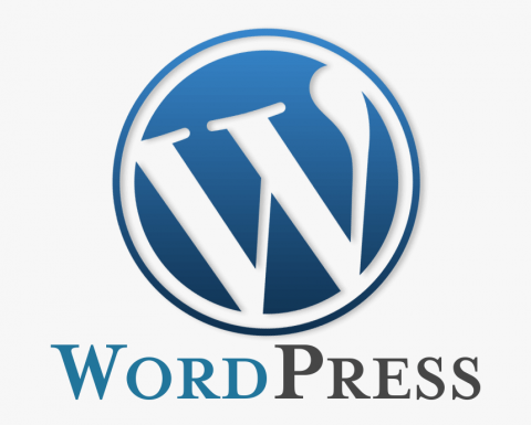 SEO-оптимизация сайтов на WordPress: лайфхаки, темы, плагины SEO-оптимизация сайтов на WordPress: лайфхаки, темы, плагины